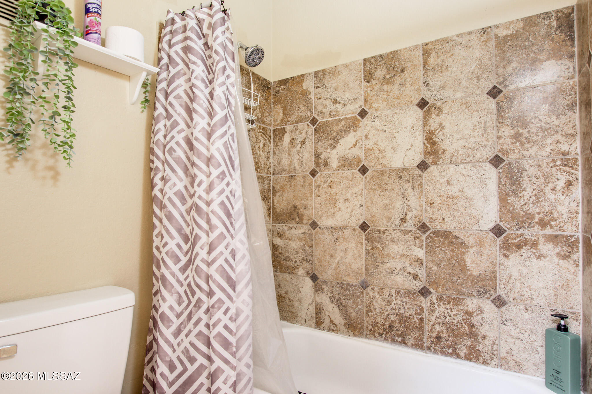 8255 North Oracle Road Tucson, AZ 85704 - Photo 24 of 40
