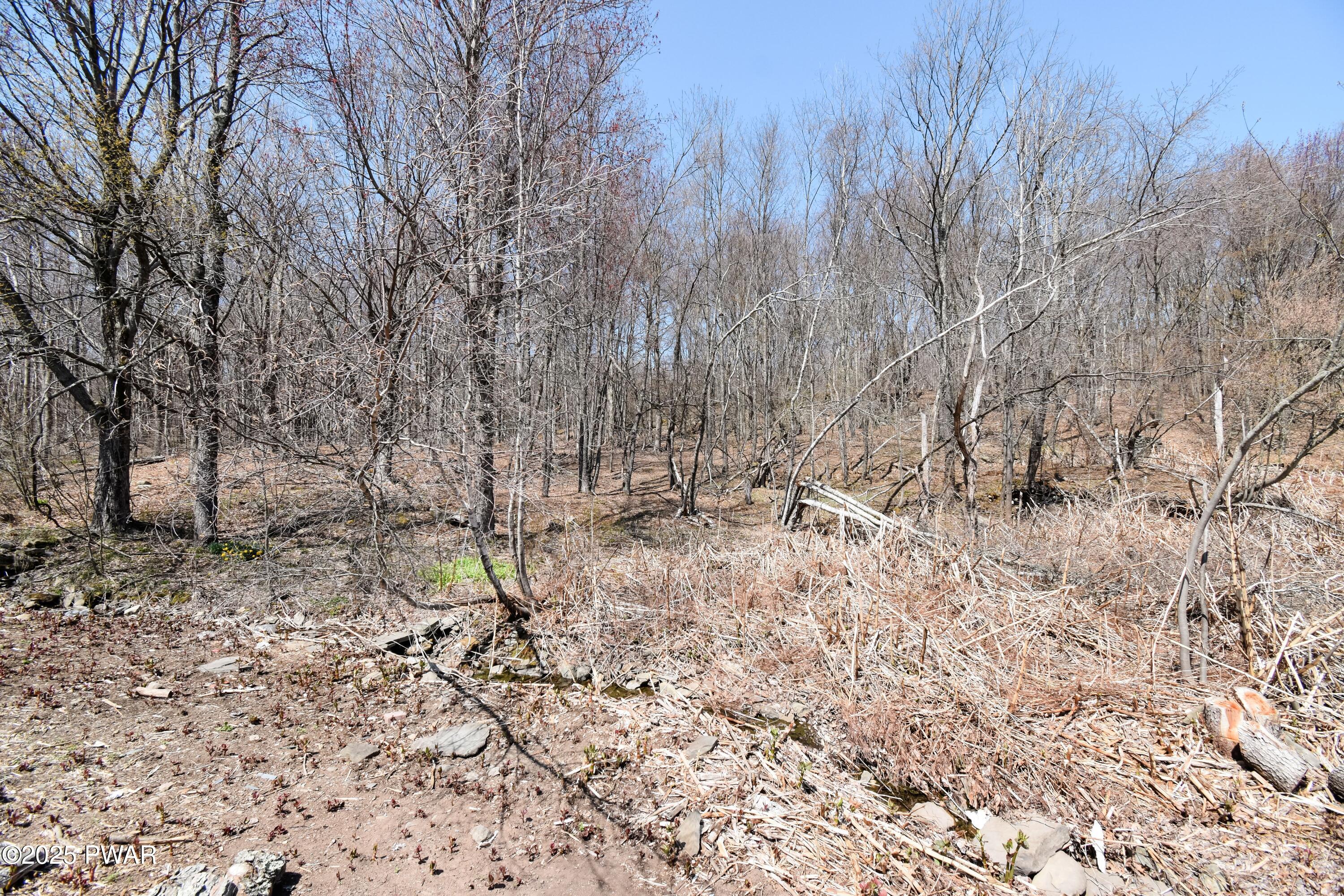429 Flat Rock Road Forest City, PA 18421 - Photo 33 of 36