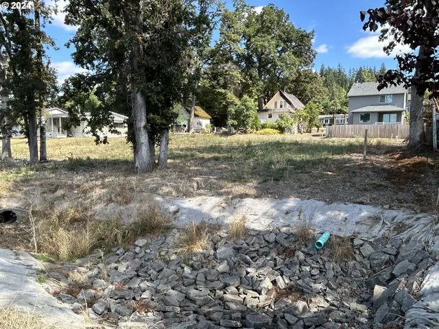 a view of a yard with plants and trees