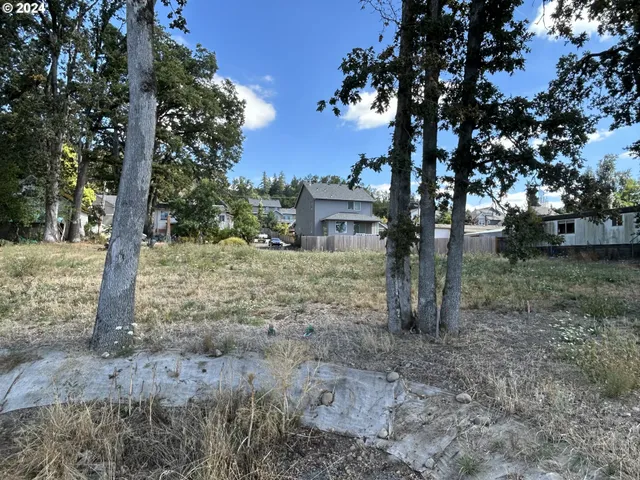 a view of a tree in the middle of a yard