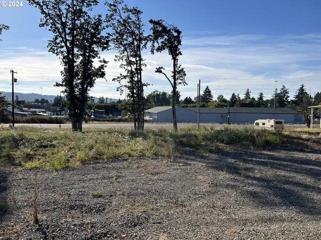 a view of yard with tree in the background