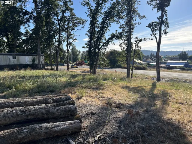 a view of backyard with green space