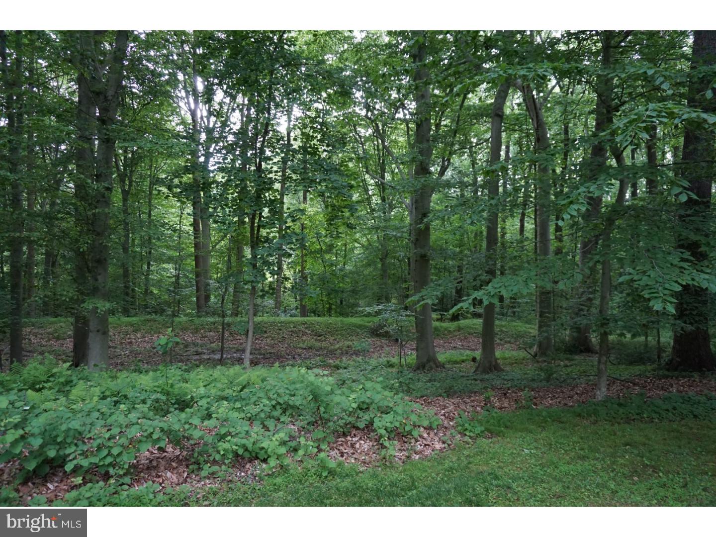 811 Pheasant Run Road West Chester, PA 19382 - Photo 22 of 22 Exterior Back