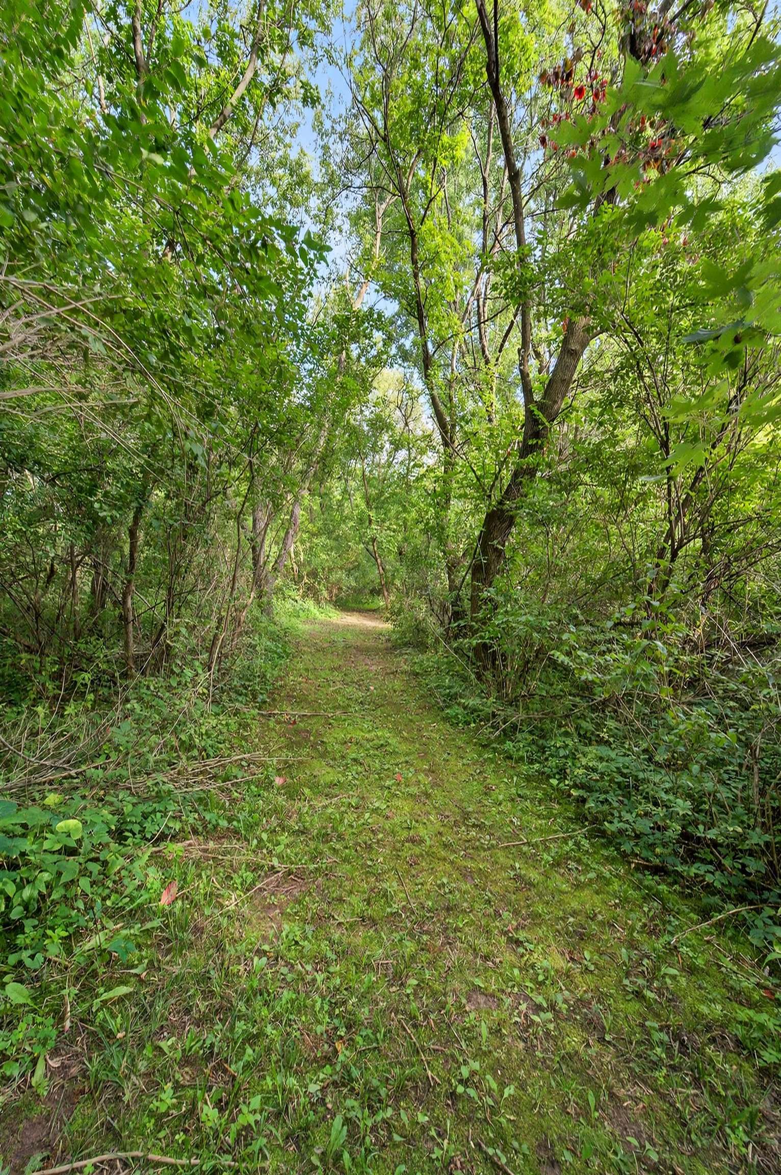 W2691 Zurfluh Road Albany, WI 53502 - Photo 61 of 70