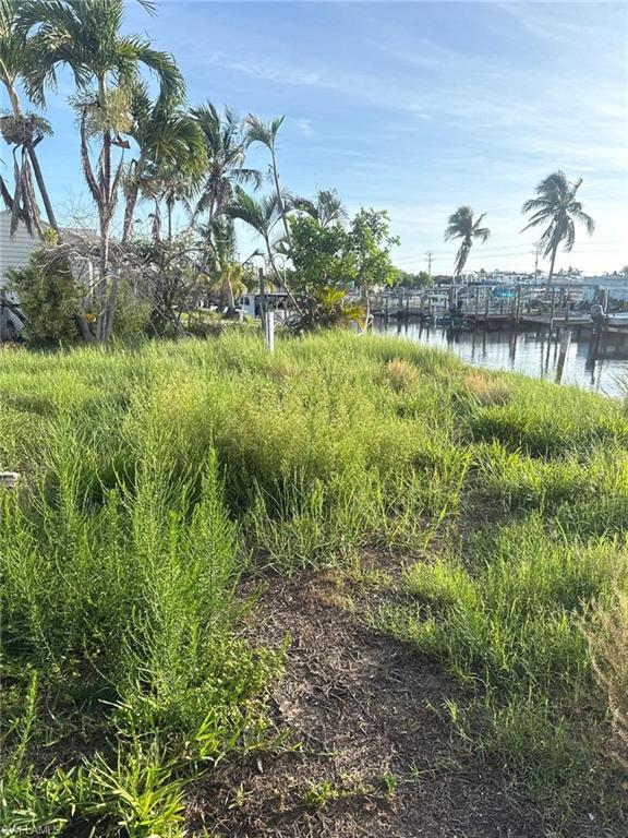 3314 York Road St. James City, FL 33956 - Photo 3 of 3 a view of a lake with a building in the background