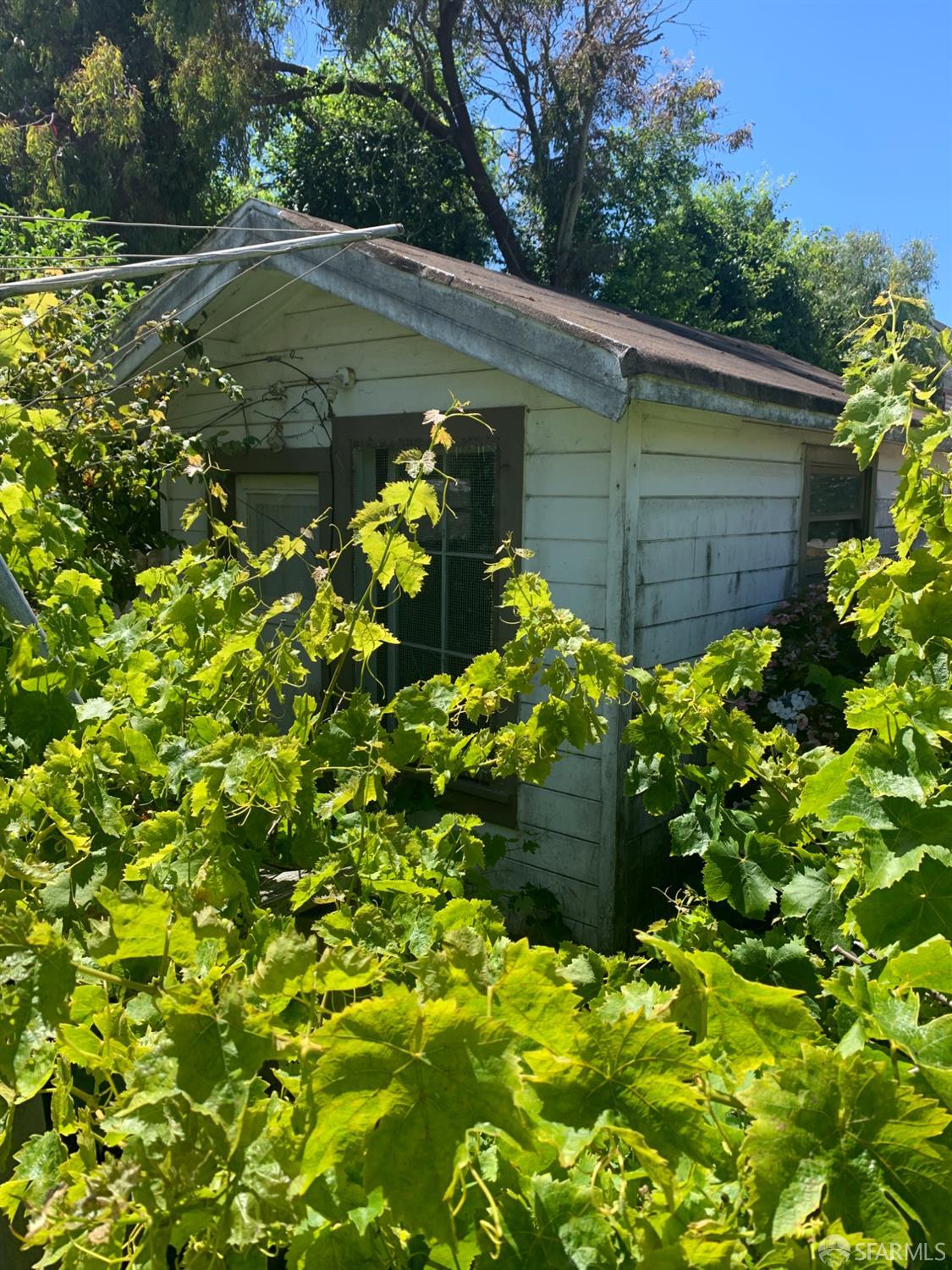 271 Granada Avenue San Francisco, CA 94112 - Photo 5 of 12 a view of a garden with plants