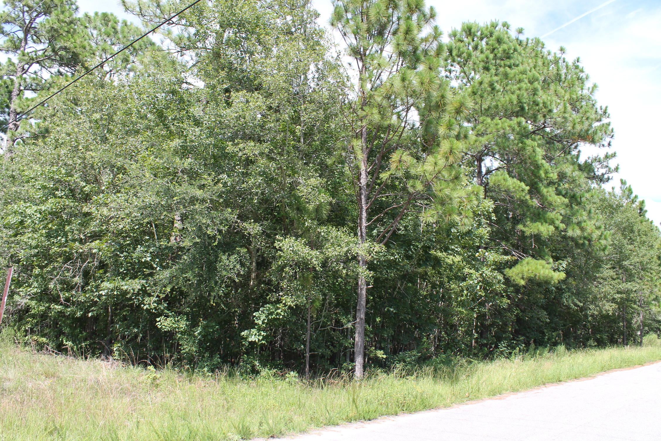 302-306 Carp Road Bonneau, SC 29431 - Photo 8 of 12 IMG_5762