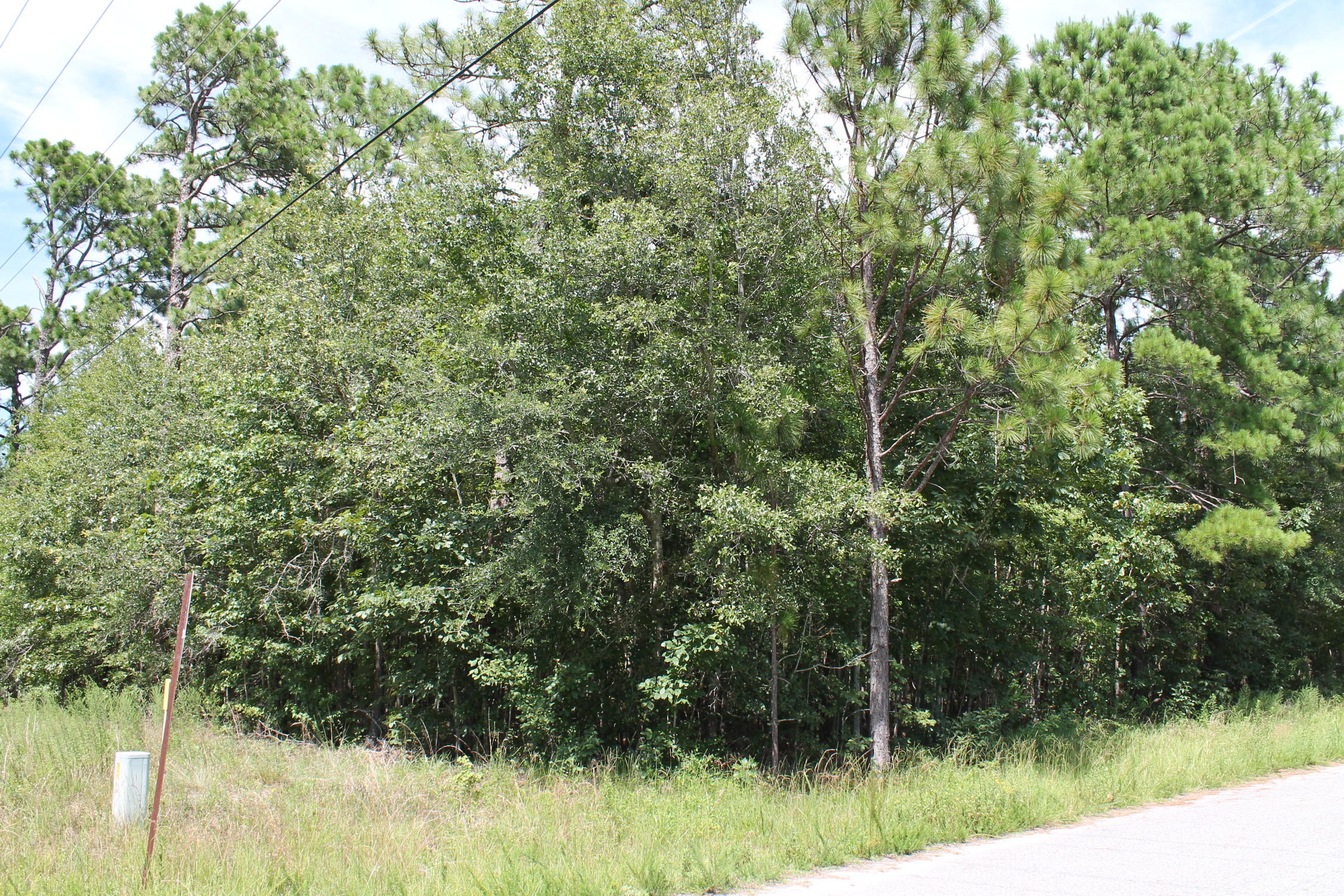 302-306 Carp Road Bonneau, SC 29431 - Photo 10 of 12 IMG_5764