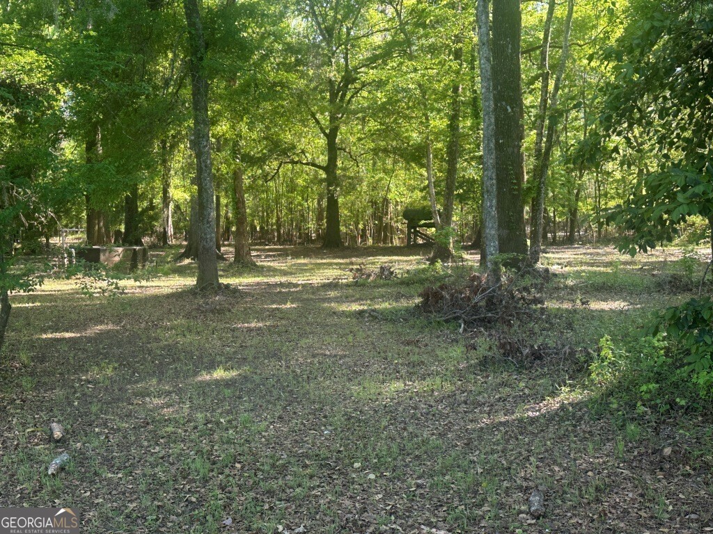 0 Old Poor Robin Road Sylvania, GA 30467 - Photo 12 of 25 a view of a tree in the middle of a yard