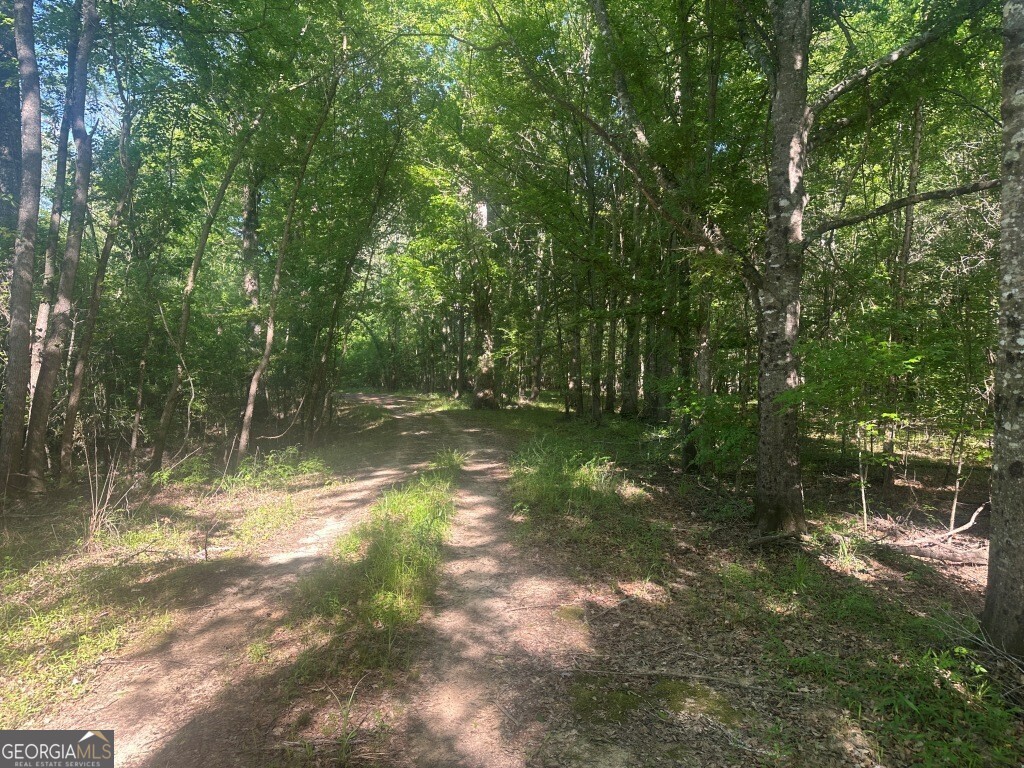0 Old Poor Robin Road Sylvania, GA 30467 - Photo 13 of 25 a backyard of a house with lots of green space