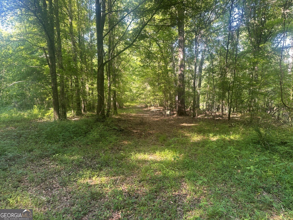 0 Old Poor Robin Road Sylvania, GA 30467 - Photo 15 of 25 a view of yard with green space