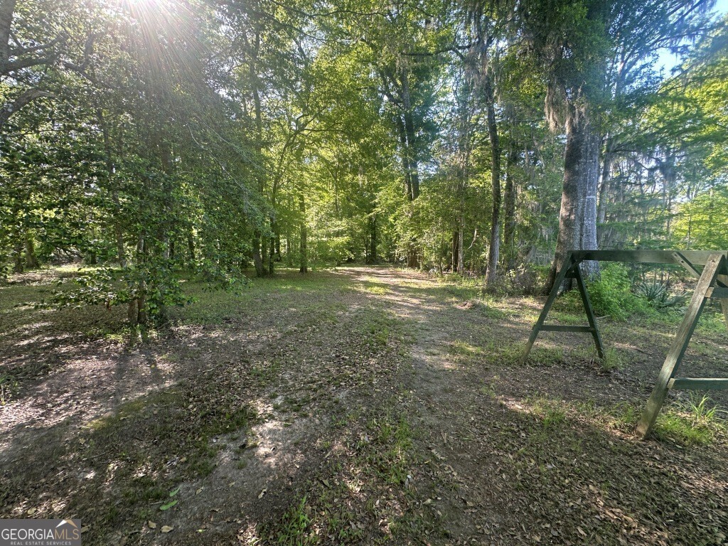 0 Old Poor Robin Road Sylvania, GA 30467 - Photo 16 of 25 a view of outdoor space with trees