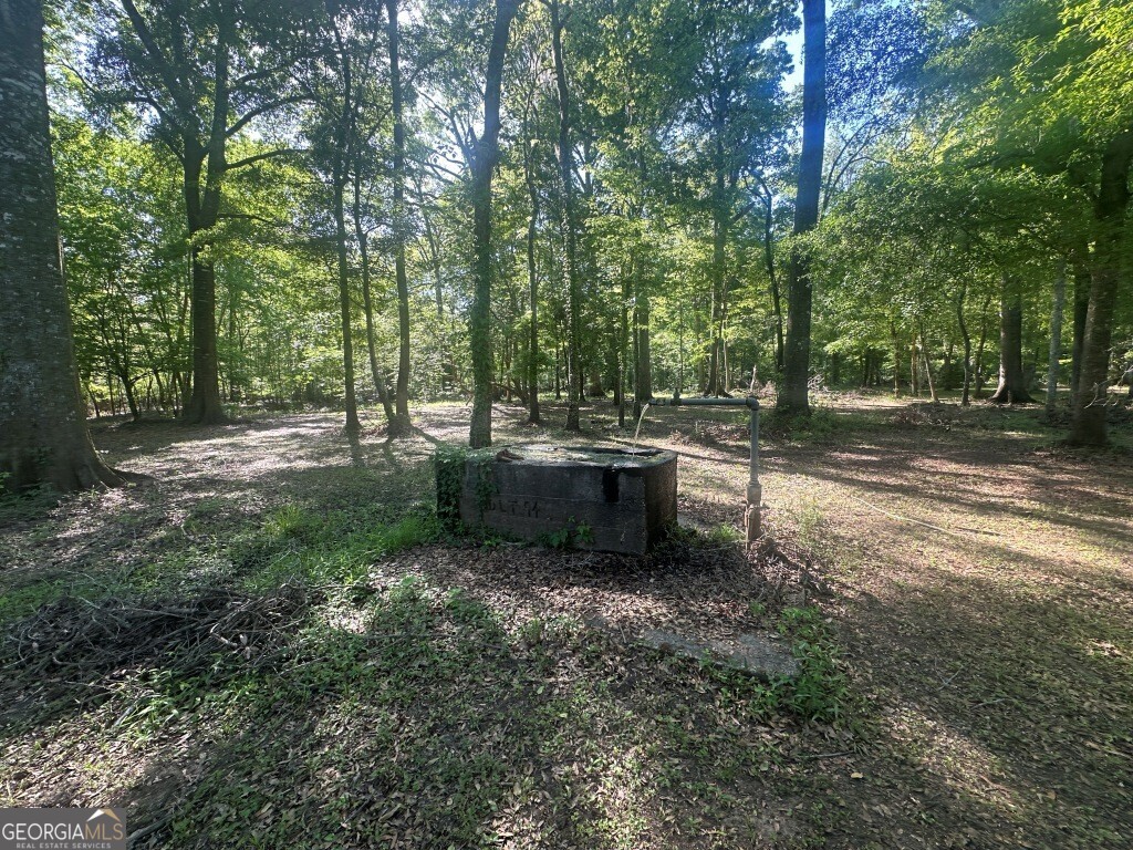 0 Old Poor Robin Road Sylvania, GA 30467 - Photo 17 of 25 a lawn chairs sitting in a yard with large trees
