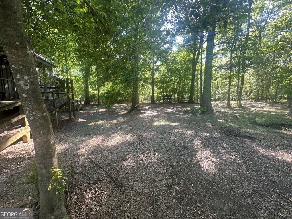 0 Old Poor Robin Road Sylvania, GA 30467 - Photo 5 of 25 a view of a forest with trees in the background