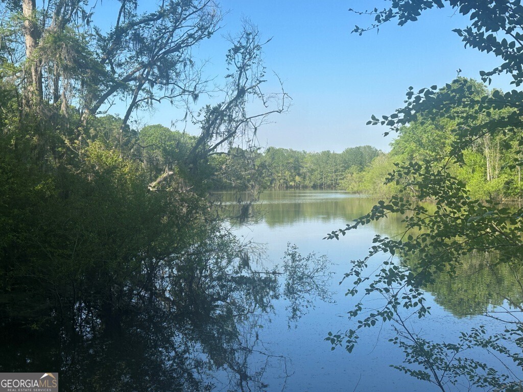 0 Old Poor Robin Road Sylvania, GA 30467 - Photo 7 of 25 a view of a lake with a mountain in the background