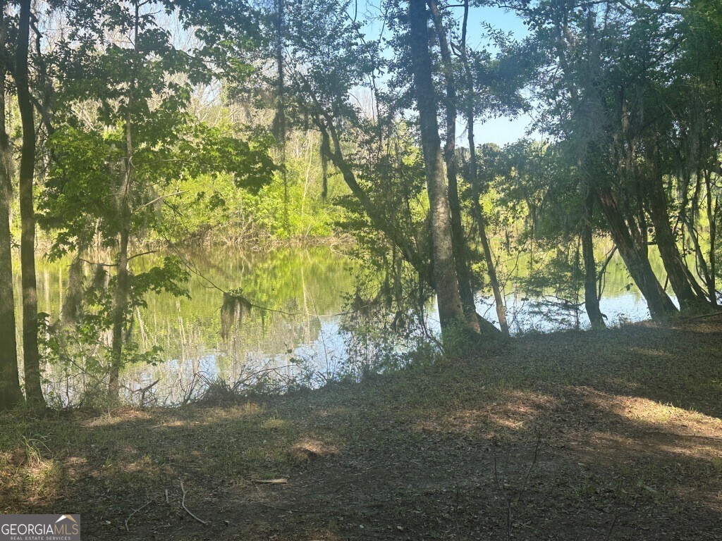 0 Old Poor Robin Road Sylvania, GA 30467 - Photo 8 of 25 a view of yard