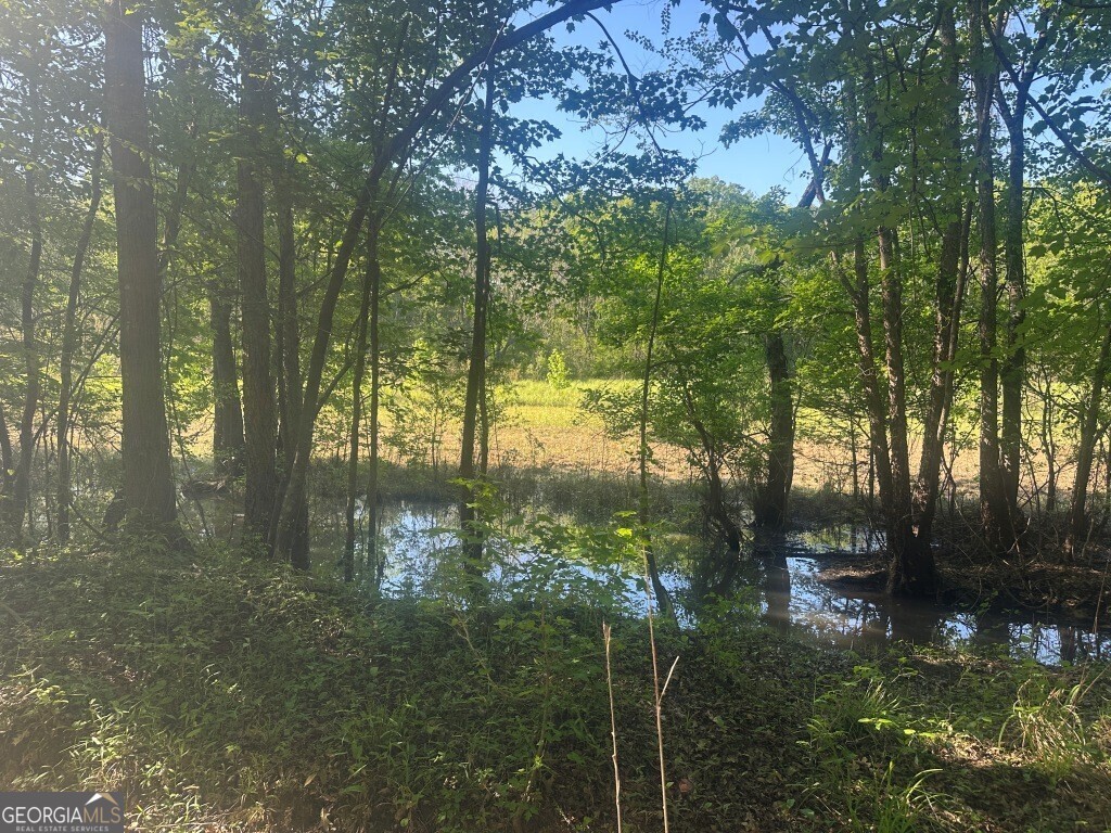 0 Old Poor Robin Road Sylvania, GA 30467 - Photo 9 of 25 a backyard of a house with lots of green space
