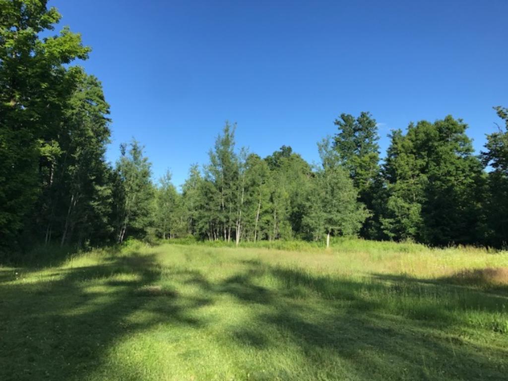 0 Meadow Dam Road Bruce, WI 54819 - Photo 1 of 1