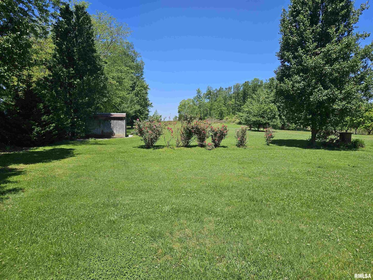 550 South Vienna Road Olmsted, IL 62970 - Photo 13 of 31 a view of garden with trees