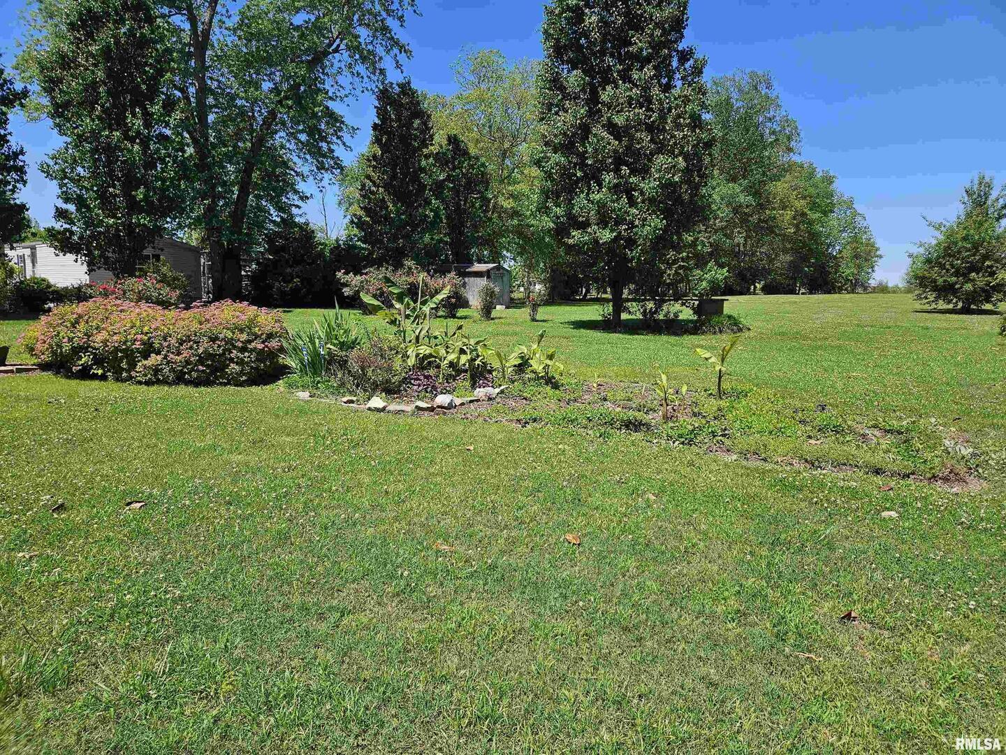 550 South Vienna Road Olmsted, IL 62970 - Photo 17 of 31 a view of a park with large trees