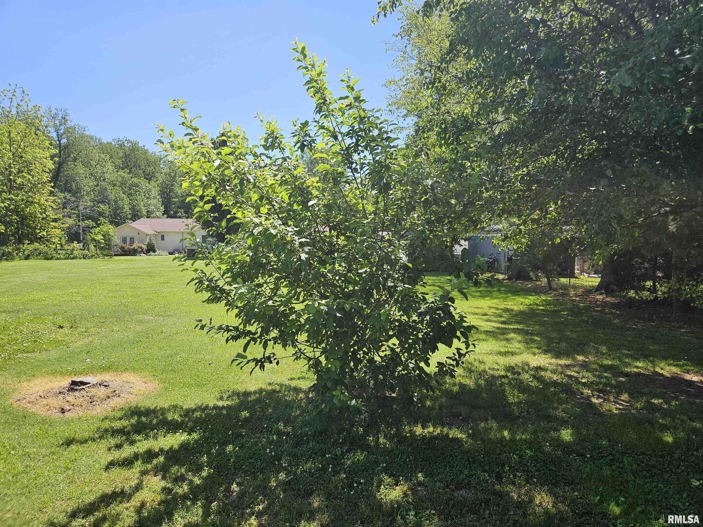 550 South Vienna Road Olmsted, IL 62970 - Photo 18 of 31 a view of a garden with an outdoor space