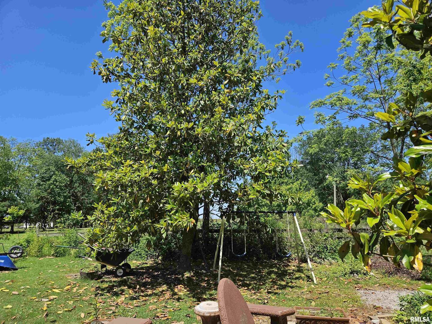 550 South Vienna Road Olmsted, IL 62970 - Photo 19 of 31 a backyard of a house with lots of green space