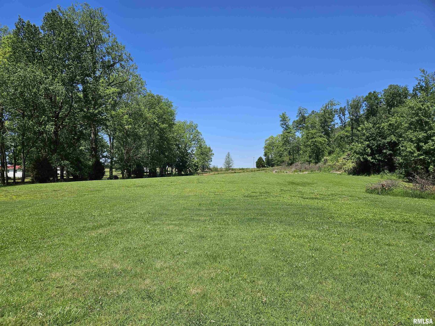 550 South Vienna Road Olmsted, IL 62970 - Photo 20 of 31 a view of field with trees in the background