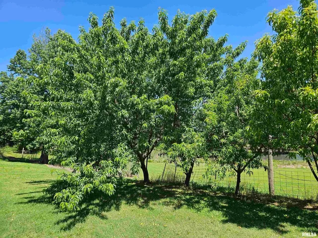 $209,900 | 550 South Vienna Road, Olmsted, IL 62970