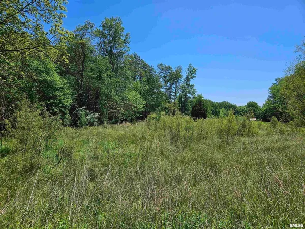 a view of a green field with lots of bushes