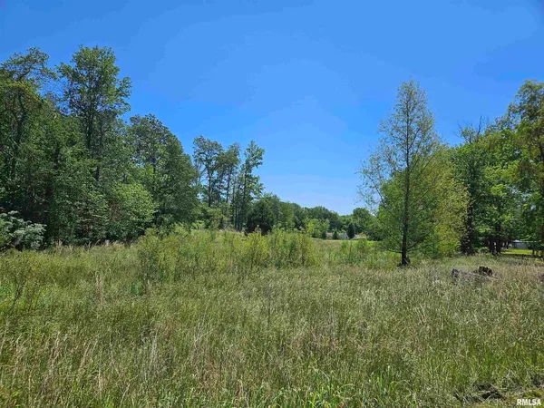 a view of a garden with a tree