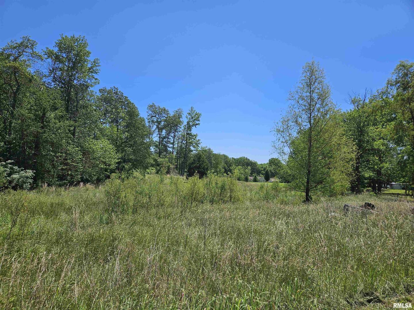 550 South Vienna Road Olmsted, IL 62970 - Photo 23 of 31 a view of a green field with lots of bushes