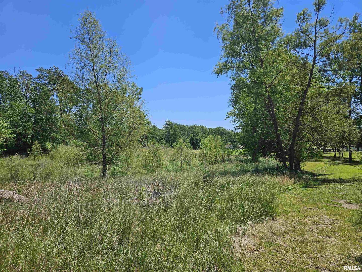 550 South Vienna Road Olmsted, IL 62970 - Photo 24 of 31 a view of a garden with a tree