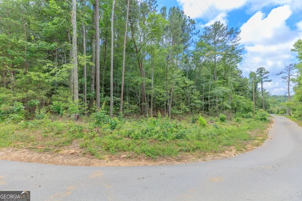 $15,000 | 0 Wallaceville Cemetery Road, Chickamauga, GA 30707