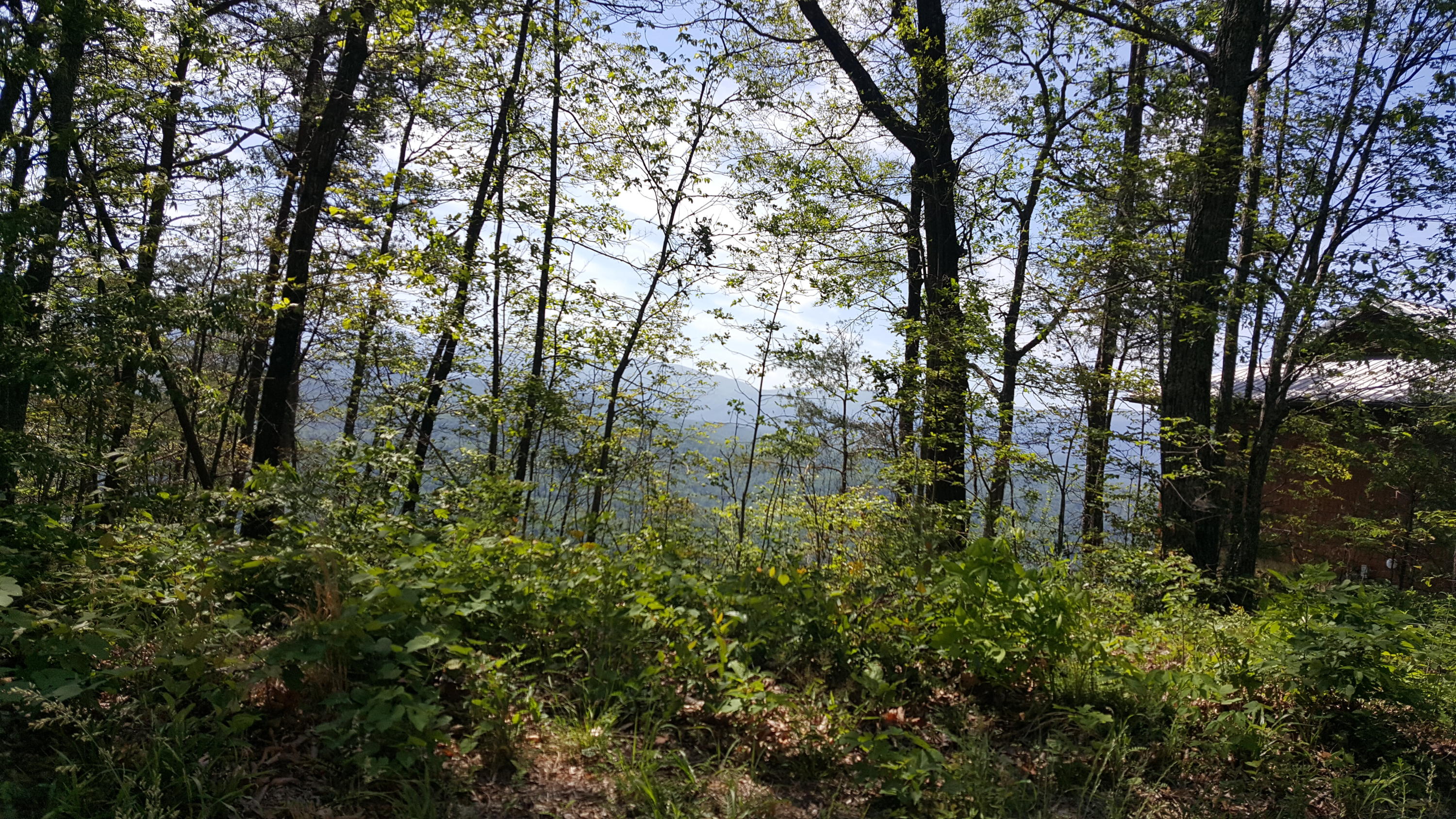 13 Tower Road Tallassee, TN 37878 - Photo 8 of 8 Lot 13