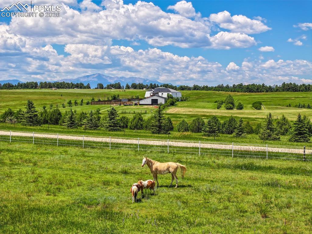 18135 Spur Ranch Road Peyton, CO 80831 - Photo 42 of 50