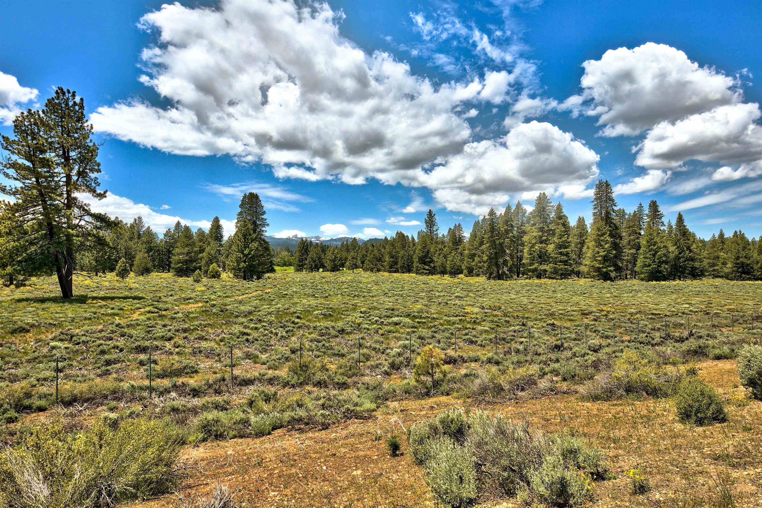 11467 Brockway Road Truckee, CA 96161 - Photo 7 of 21