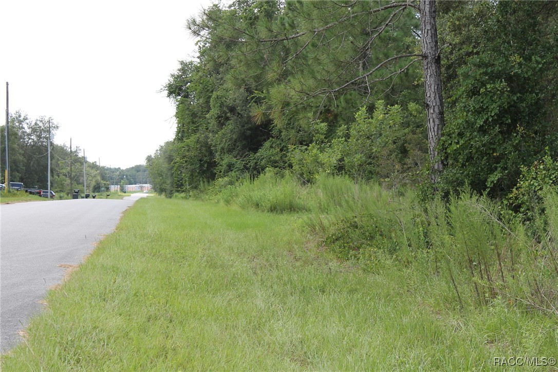 7972 North Manville Road Citrus Springs, FL 34434 - Photo 2 of 5