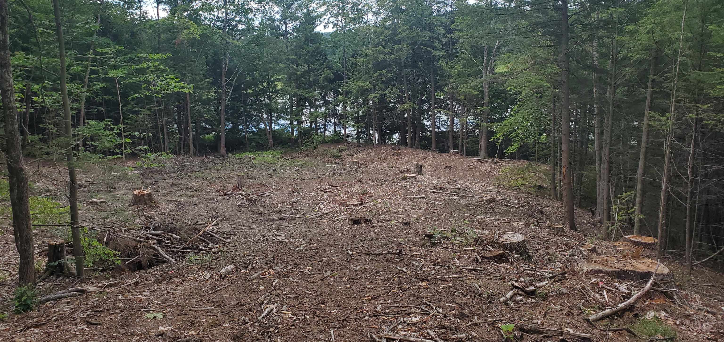 Lot 84 Ragged Mountain Road Danbury, NH 03230 - Photo 3 of 9