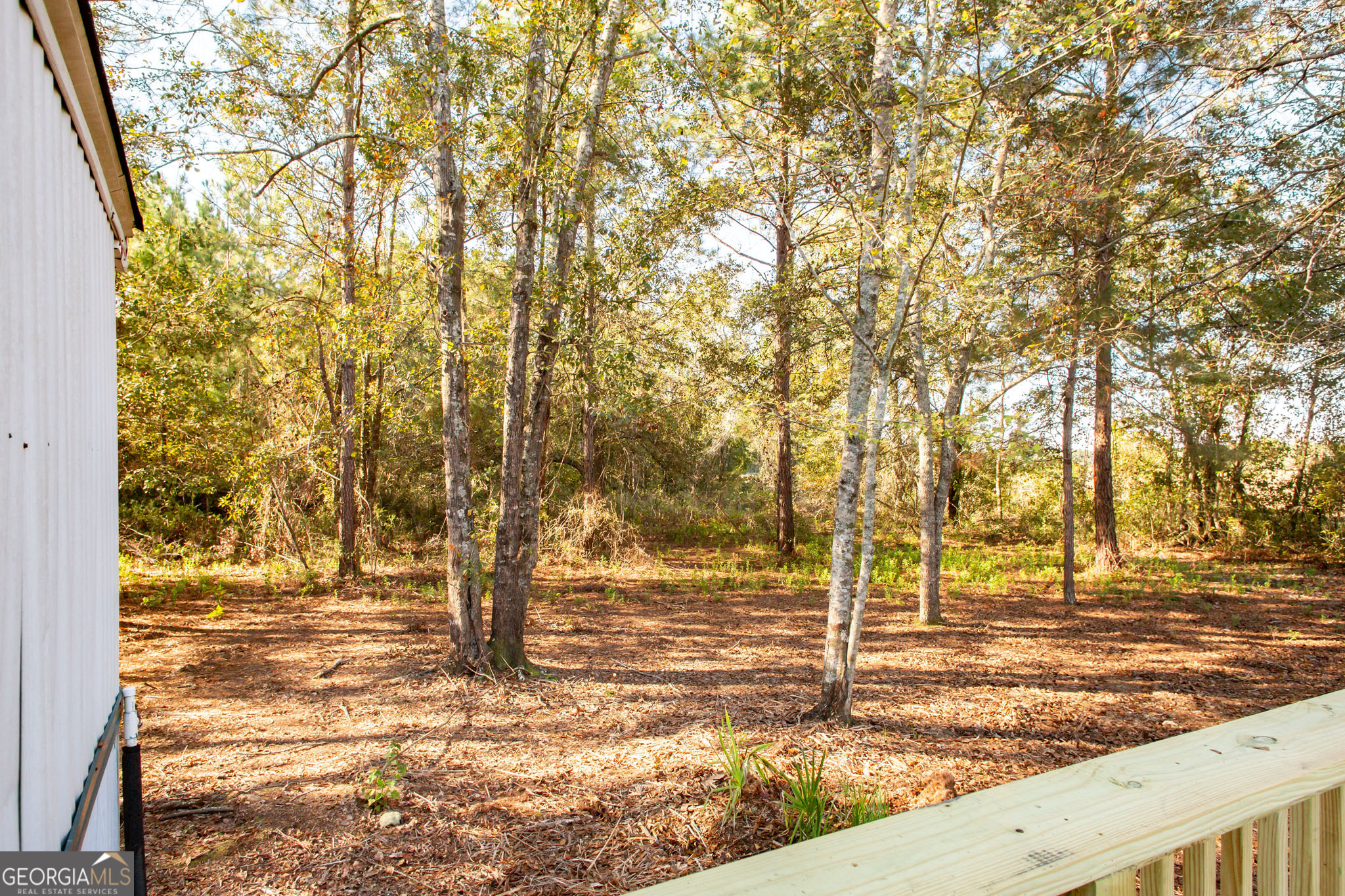 6005 Chancey Road Patterson, GA 31557 - Photo 20 of 23 a view of a yard with wooden fence