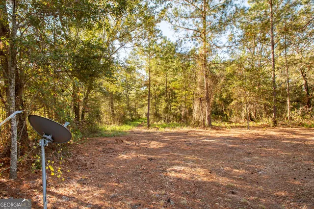 a view of a yard with a trees
