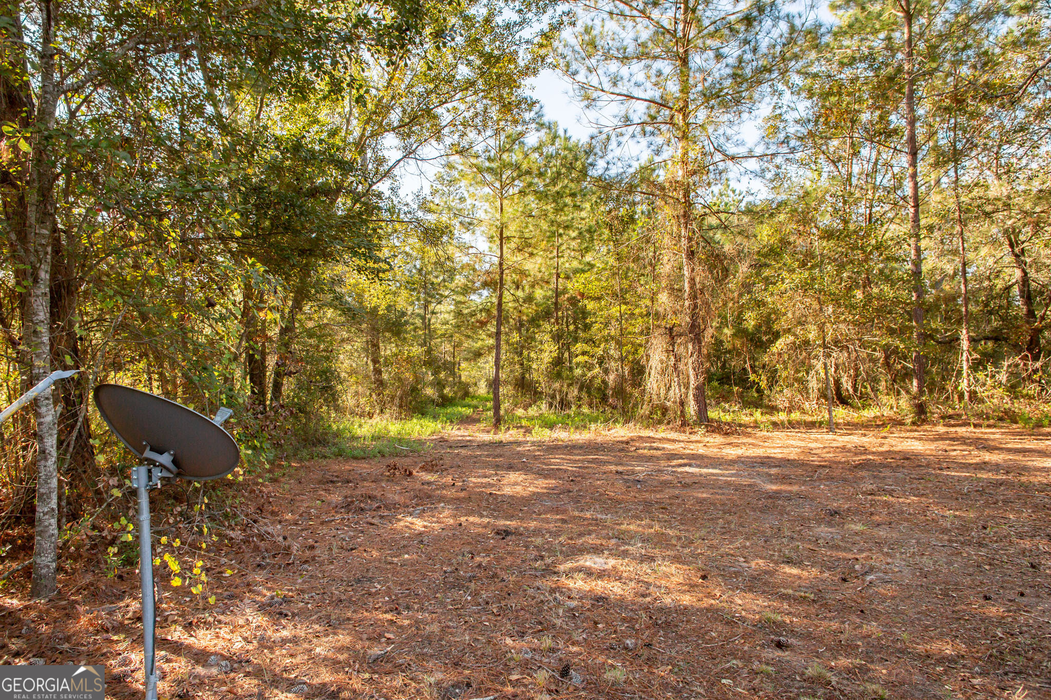 6005 Chancey Road Patterson, GA 31557 - Photo 22 of 23 a view of a yard with a trees