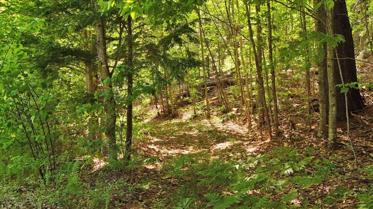 Lot 16 Barnett Road East Calais, VT 05650 - Photo 19 of 26