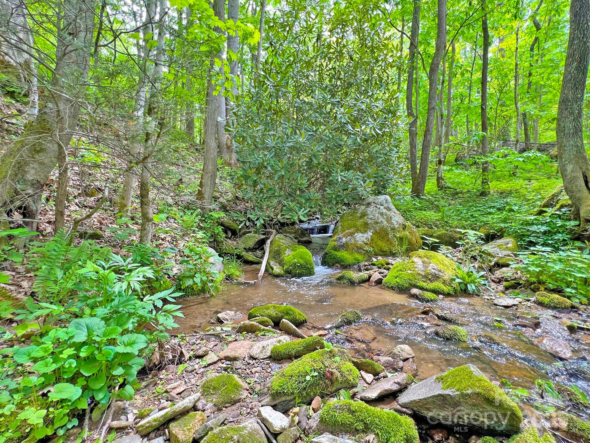 Tbd Baltimore Branch Road Hot Springs, NC 28743 - Photo 14 of 21 Gallery Image 14