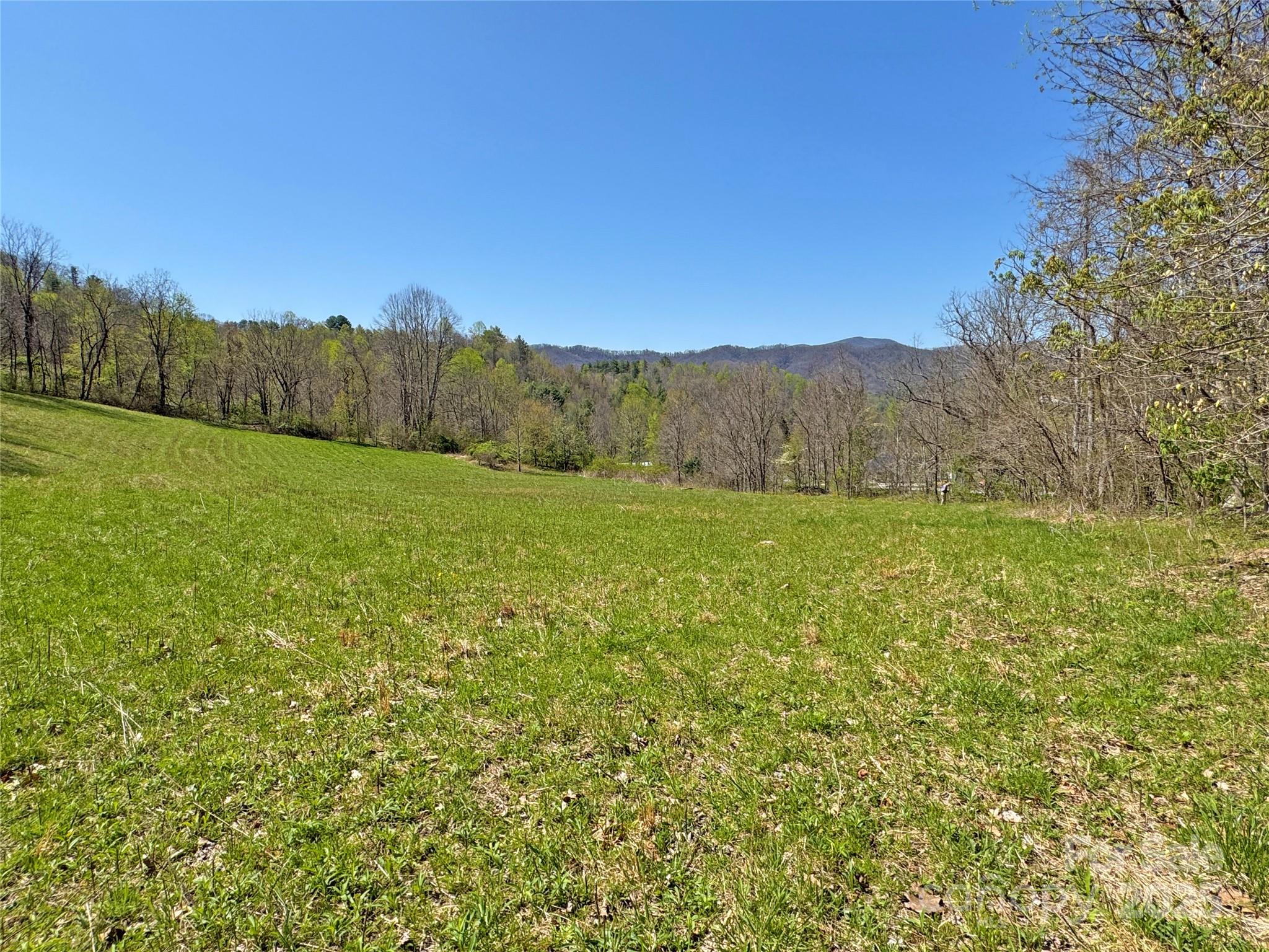 Tbd Baltimore Branch Road Hot Springs, NC 28743 - Photo 6 of 21 Gallery Image 6