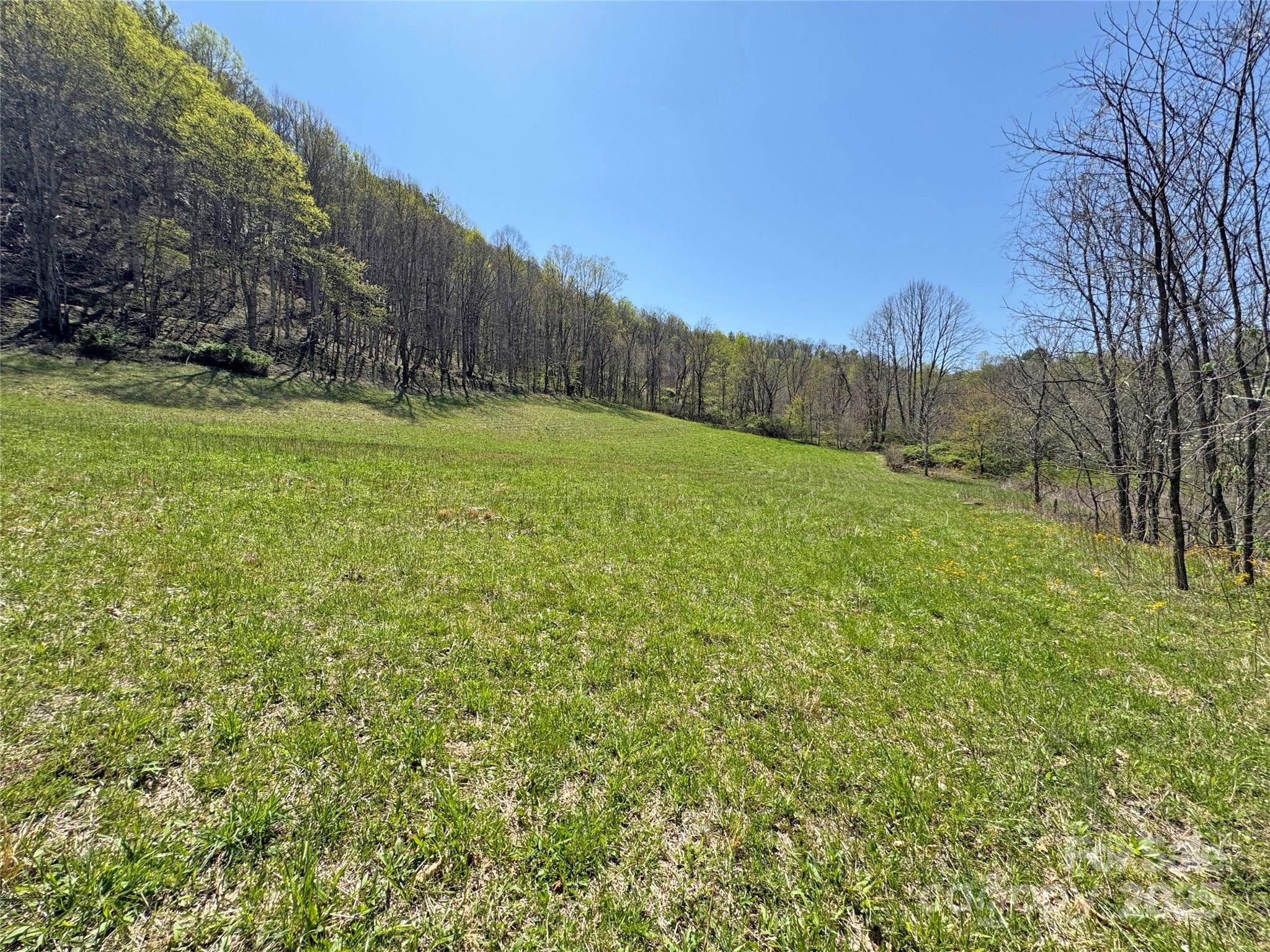 Tbd Baltimore Branch Road Hot Springs, NC 28743 - Photo 7 of 21 Gallery Image 7