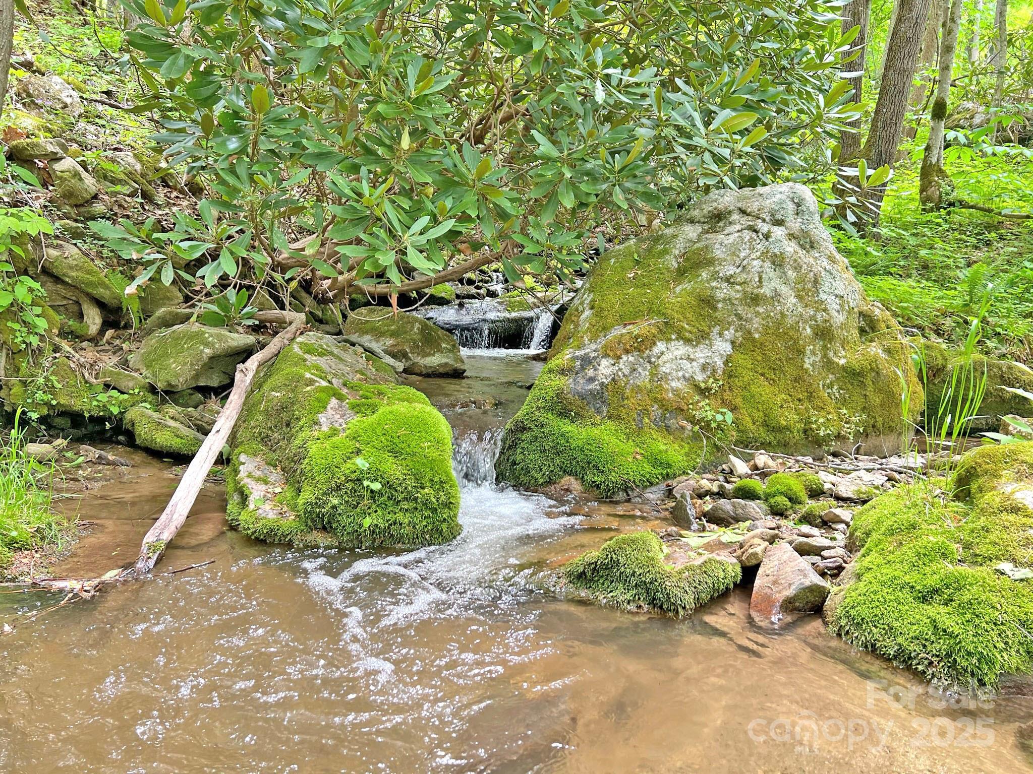 Tbd Baltimore Branch Road Hot Springs, NC 28743 - Photo 8 of 21 Gallery Image 8