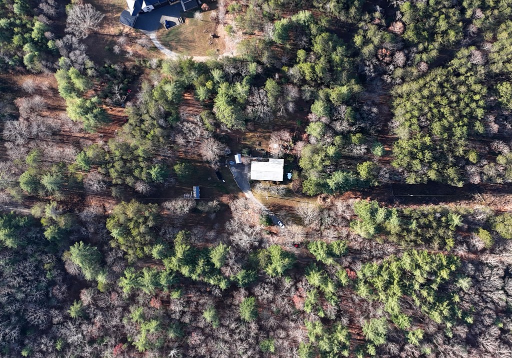 370 Rass Dover Road Blairsville, GA 30512 - Photo 38 of 55 Gallery Image 38