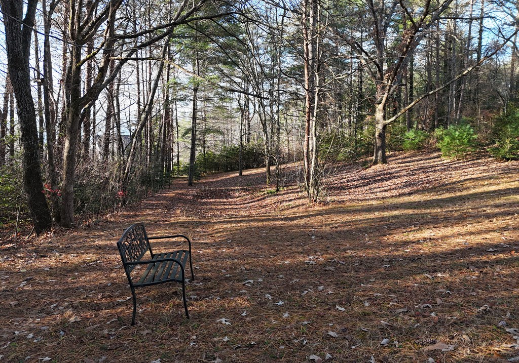 370 Rass Dover Road Blairsville, GA 30512 - Photo 6 of 55 Gallery Image 6