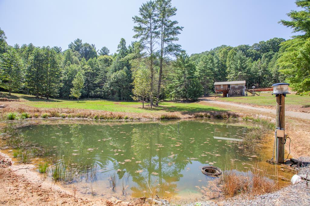 97 Beak Road Murphy, NC 28906 - Photo 1 of 48 Main View