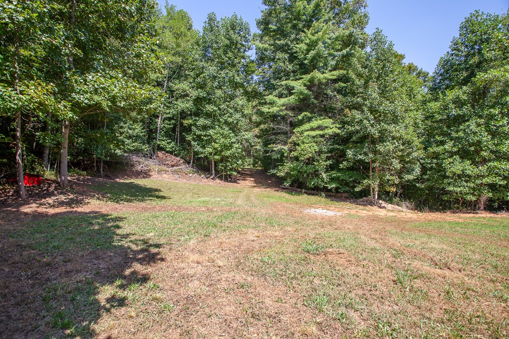 97 Beak Road Murphy, NC 28906 - Photo 40 of 48